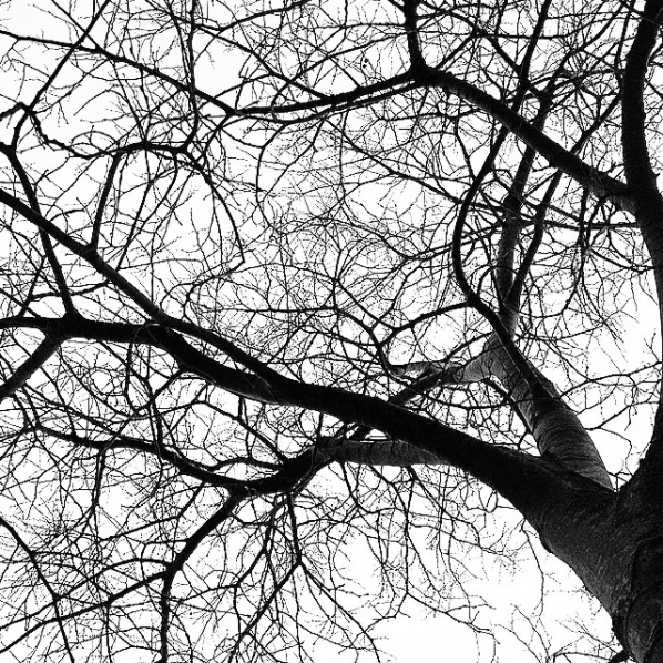 Neverending Branches