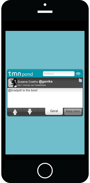 widget1 Pond